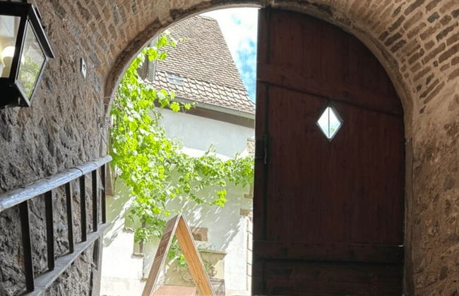 Tour de cata de vinos Guía de conductor privado - Foto 8