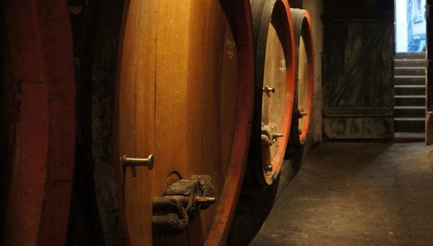 Tour de cata de vinos Guía de conductor privado - Foto 4