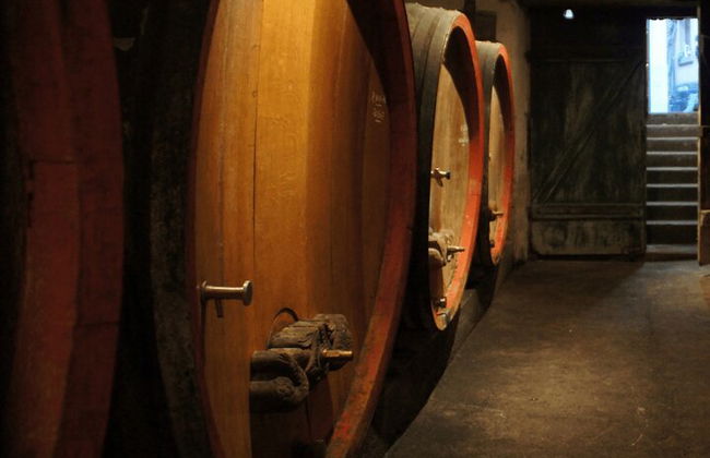 Tour de cata de vinos Guía de conductor privado - Foto 4