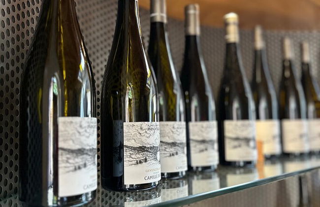 Tour de cata de vinos Guía de conductor privado - Foto 7