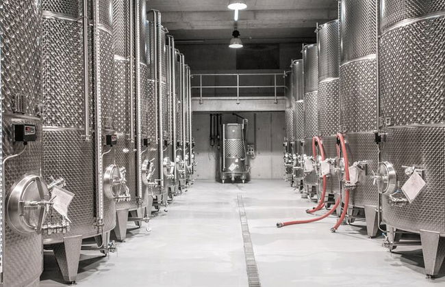Tour de cata de vinos Guía de conductor privado - Foto 9
