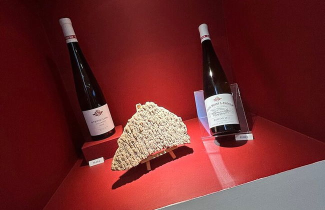 Tour de cata de vinos Guía de conductor privado - Foto 2