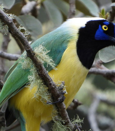 Photo – Bird-Watching at Barbas Bremen