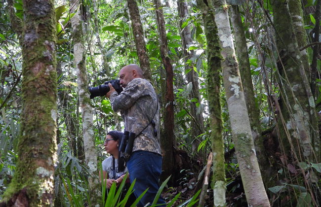 Avistamento de aves em Barbas Bremen - Foto 6