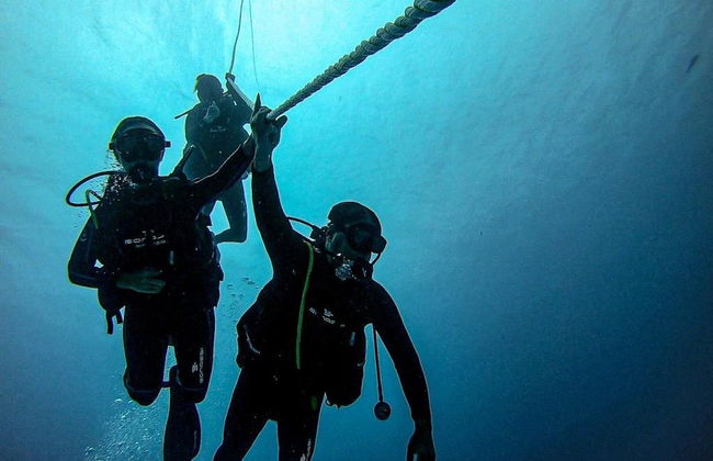 Immersione con gli squali toro a Playa del Carmen - Foto 5