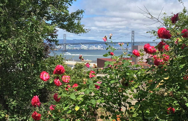 Visite des points de vue et des collines de San Francisco - Foto 4