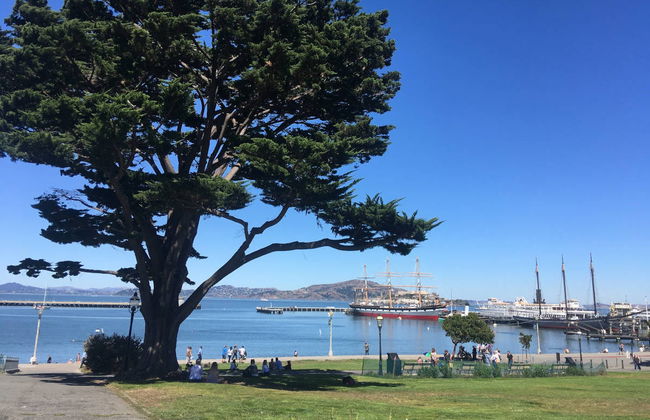Visite des points de vue et des collines de San Francisco - Foto 2