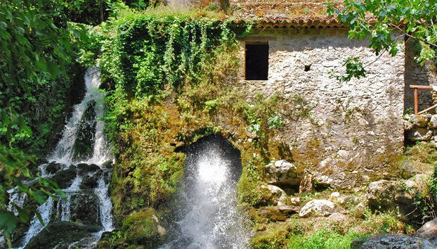 Morigerati Oasis Excursion - Photo 5