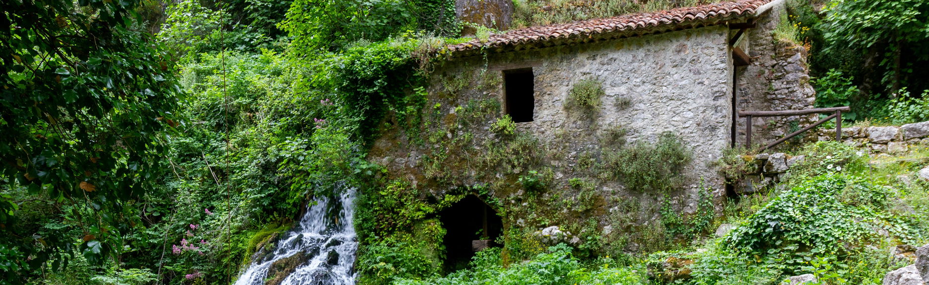 Morigerati Oasis Excursion - Foto 1