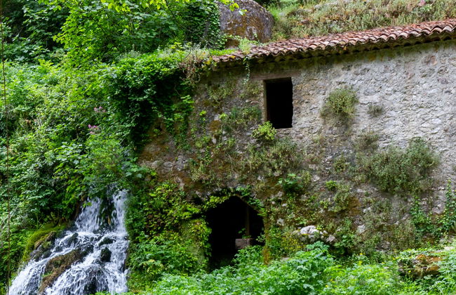 Morigerati Oasis Excursion - Foto 1
