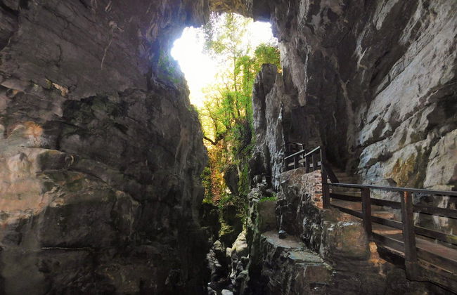 Morigerati Oasis Excursion - Photo 4