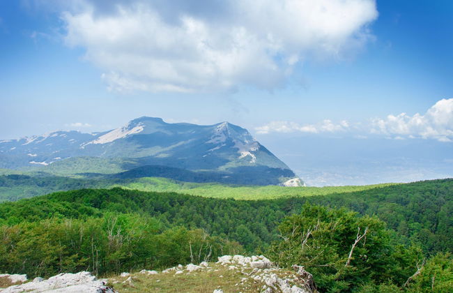 Morigerati Oasis Excursion - Photo 1