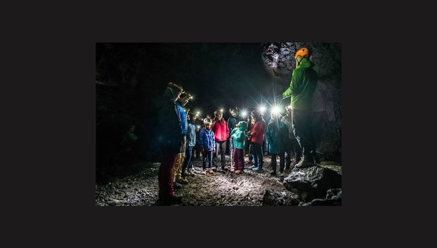 Deildartunguhver & Vidgelmir Cave Tour - Foto 5