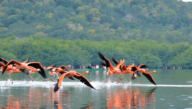 Guanaroca Lagoon Boat Tour - Photo 5
