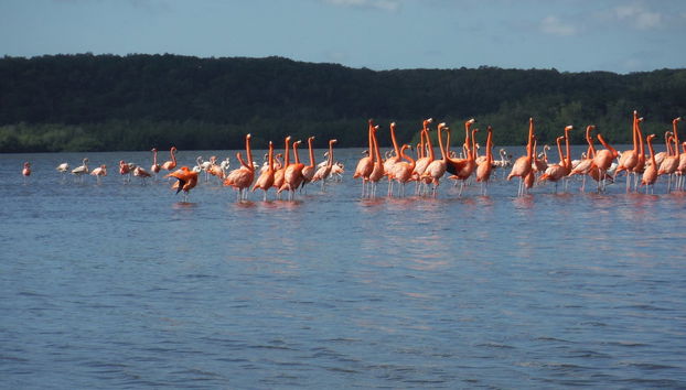 Guanaroca Lagoon Boat Tour - Photo 2