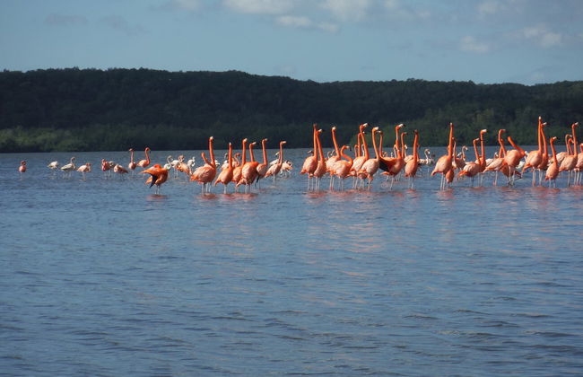 Giro in barca nella laguna Guanaroca - Foto 2