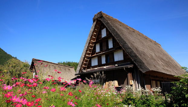 Guided tour of Shirakawa - Foto 2
