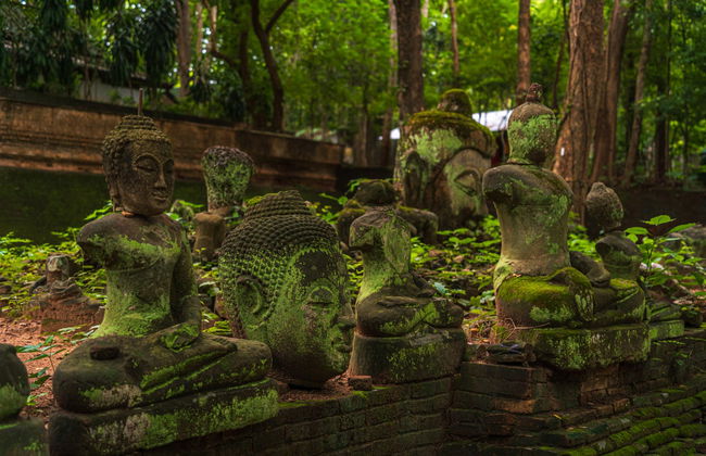 Excursion à Doi Suthep et à King Park en petit groupe - Photo 3