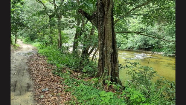 Following the Mendihuaca River