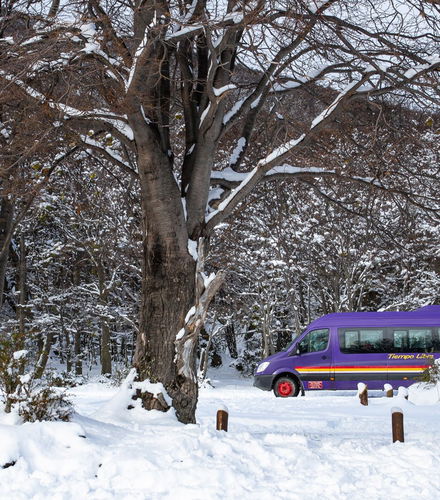 Foto de Transporte a Cerro Castor
