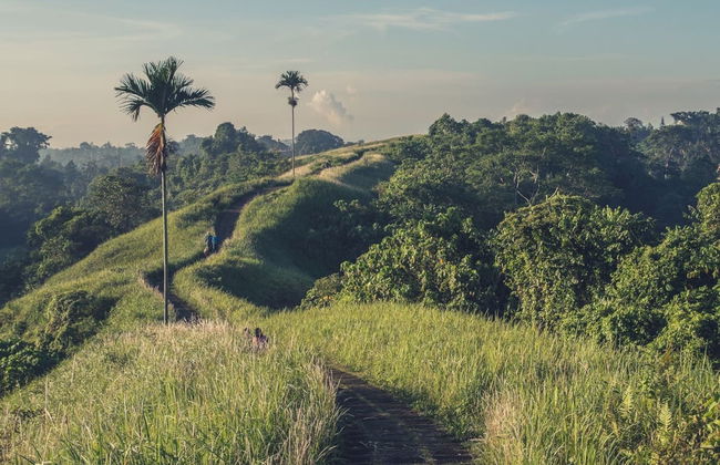 Visita guiada por Ubud - Foto 1