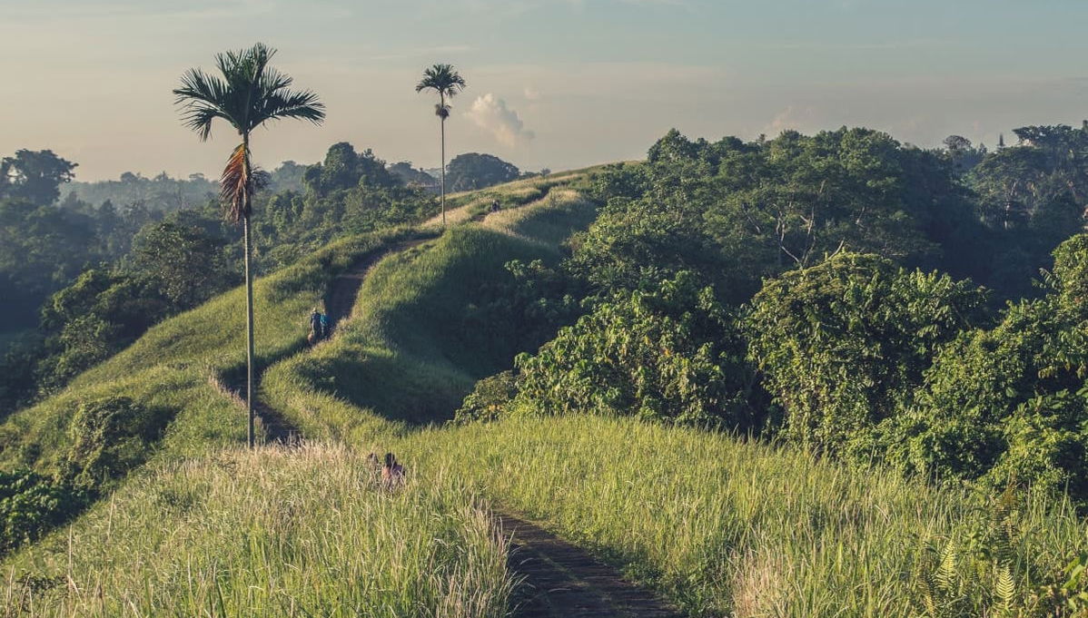 Visita guiada por Ubud - Foto 1