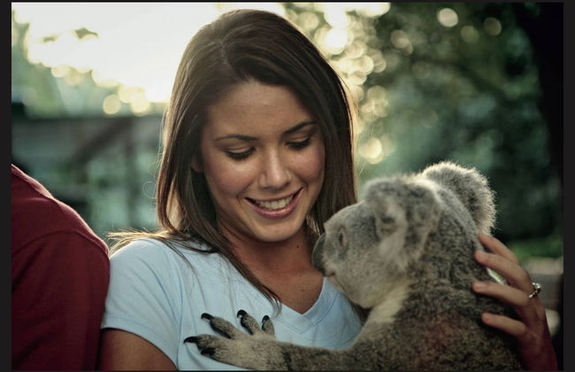 Brisbane River Cruise & Koala Sanctuary Tour - Photo 7