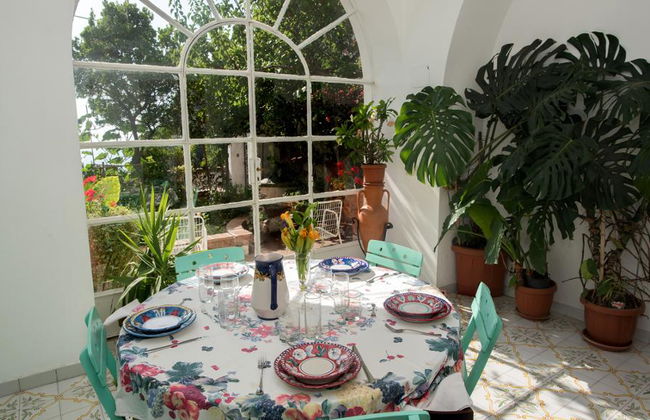 Experiencia gastronómica con cocina en vivo - Privada - Foto 8