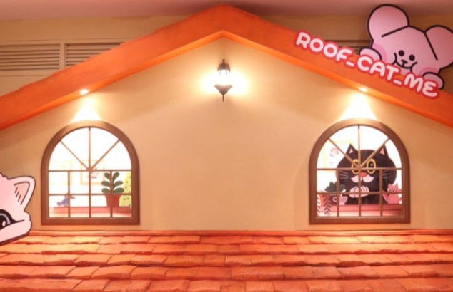 Entrada a la cafetería Roof Cat Me en Seúl - Foto 6