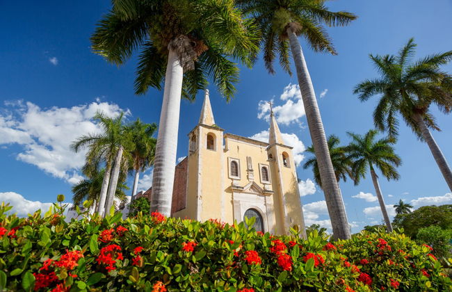 Private Tour of Merida - Foto 7