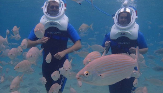 Sea Trek à Costa Teguise - Photo 2