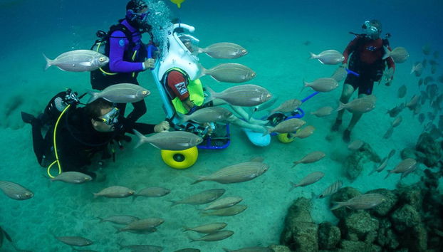 Sea Trek à Costa Teguise - Photo 5