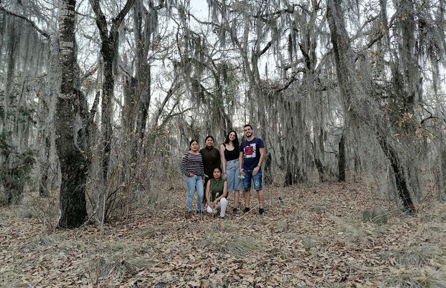 Excursión a Santiago Apoala - Foto 2