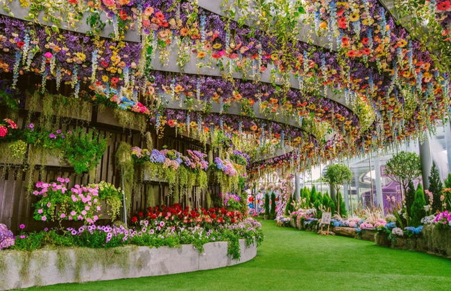 Ticket to the Gardens by the Bay - Photo 3