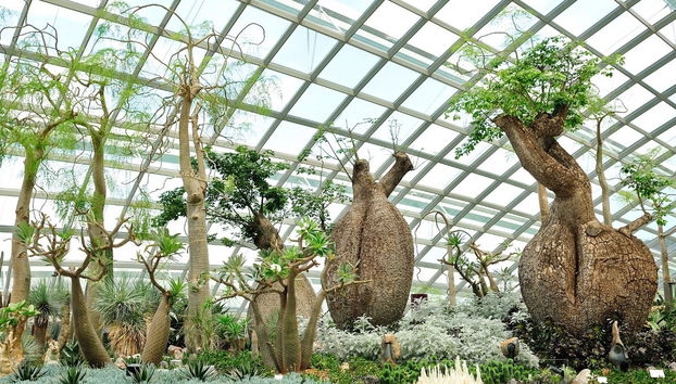 Ingresso dos Gardens by the Bay - Foto 3