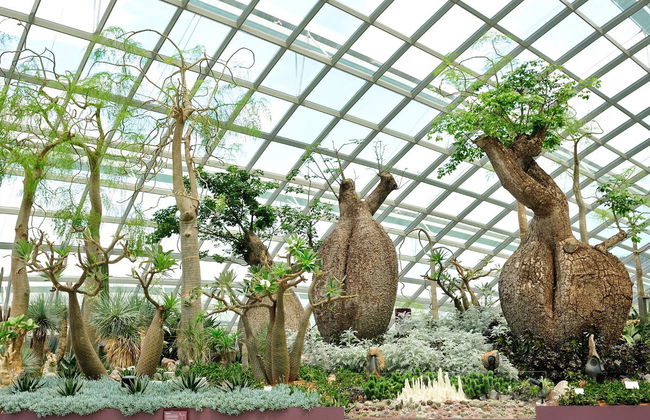 Entrada a los Jardines de la Bahía - Foto 3