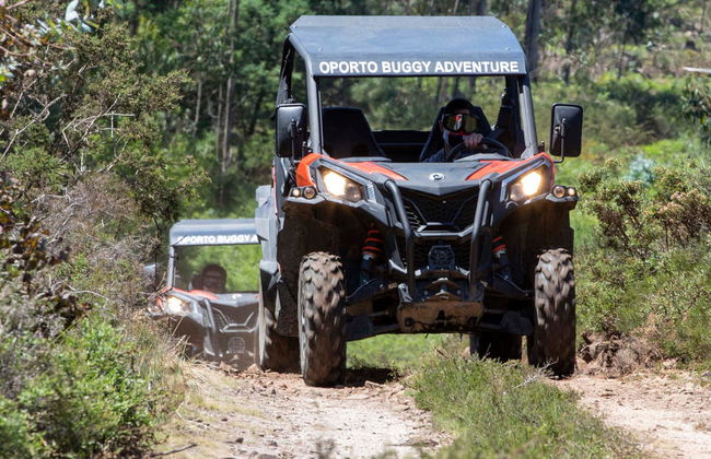 Tour in buggy nei dintorni di Porto - Foto 4