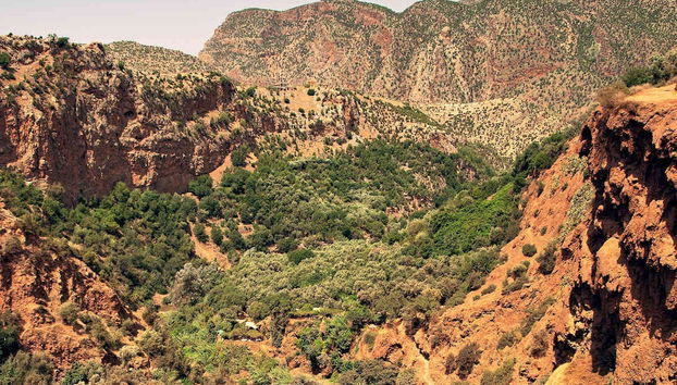 Escursione alle Cascate di Ouzoud - Foto 3