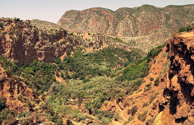 Escursione alle Cascate di Ouzoud - Foto 3