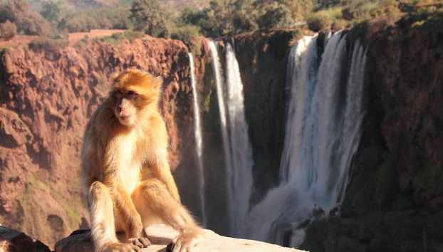 Escursione alle Cascate di Ouzoud - Foto 5