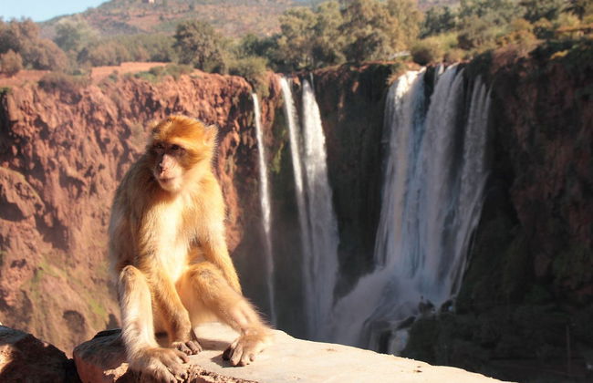 Escursione alle Cascate di Ouzoud - Foto 6