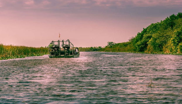 Oferta: Tour de Miami + Everglades + Casas dos Famosos - Foto 2