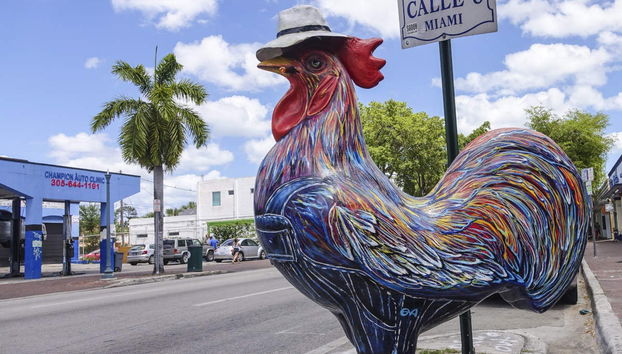 Oferta: Tour de Miami + Everglades + Casas dos Famosos - Foto 4