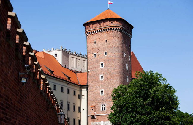 Tour por la catedral de Cracovia + Colina de Wawel - Foto 6