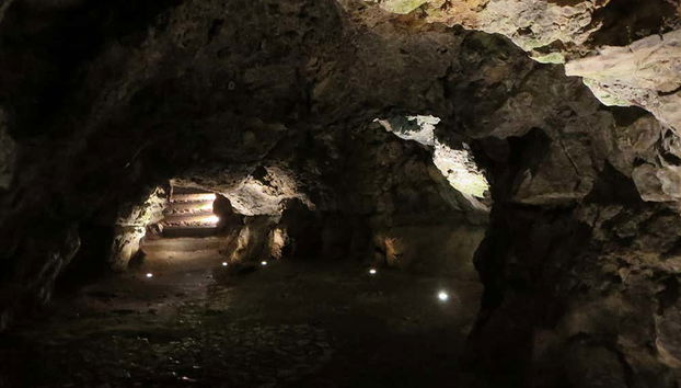 Tour por la catedral de Cracovia + Colina de Wawel - Foto 4