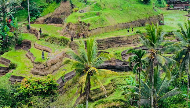 Tour privado por Ubud e o centro de Bali - Foto 4