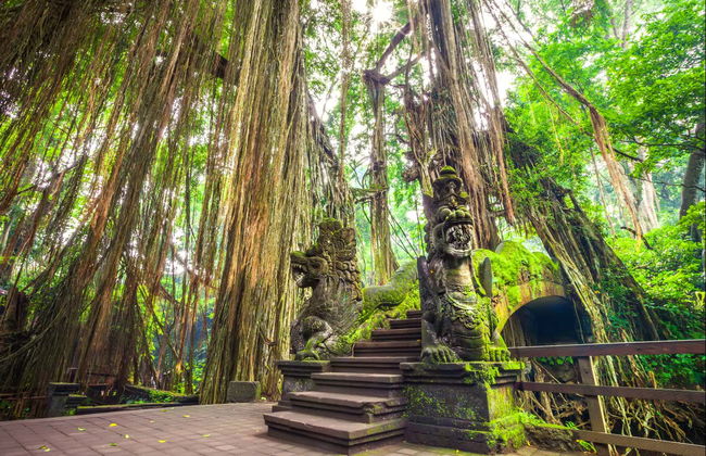 Visite privée dans Ubud - Photo 9