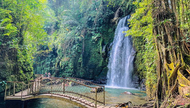 Visite privée dans Ubud - Photo 4