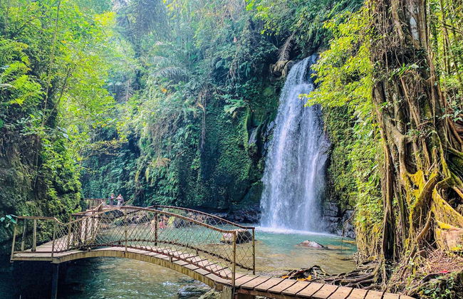 Ubud, Goa Gajah & Central Bali Private Tour - Foto 4