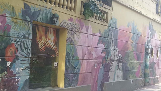 Tour de arte urbano por Palermo - Foto 3